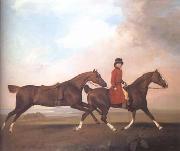 STUBBS, George William Anderson with Two Saddle Horses (mk25) oil painting picture wholesale